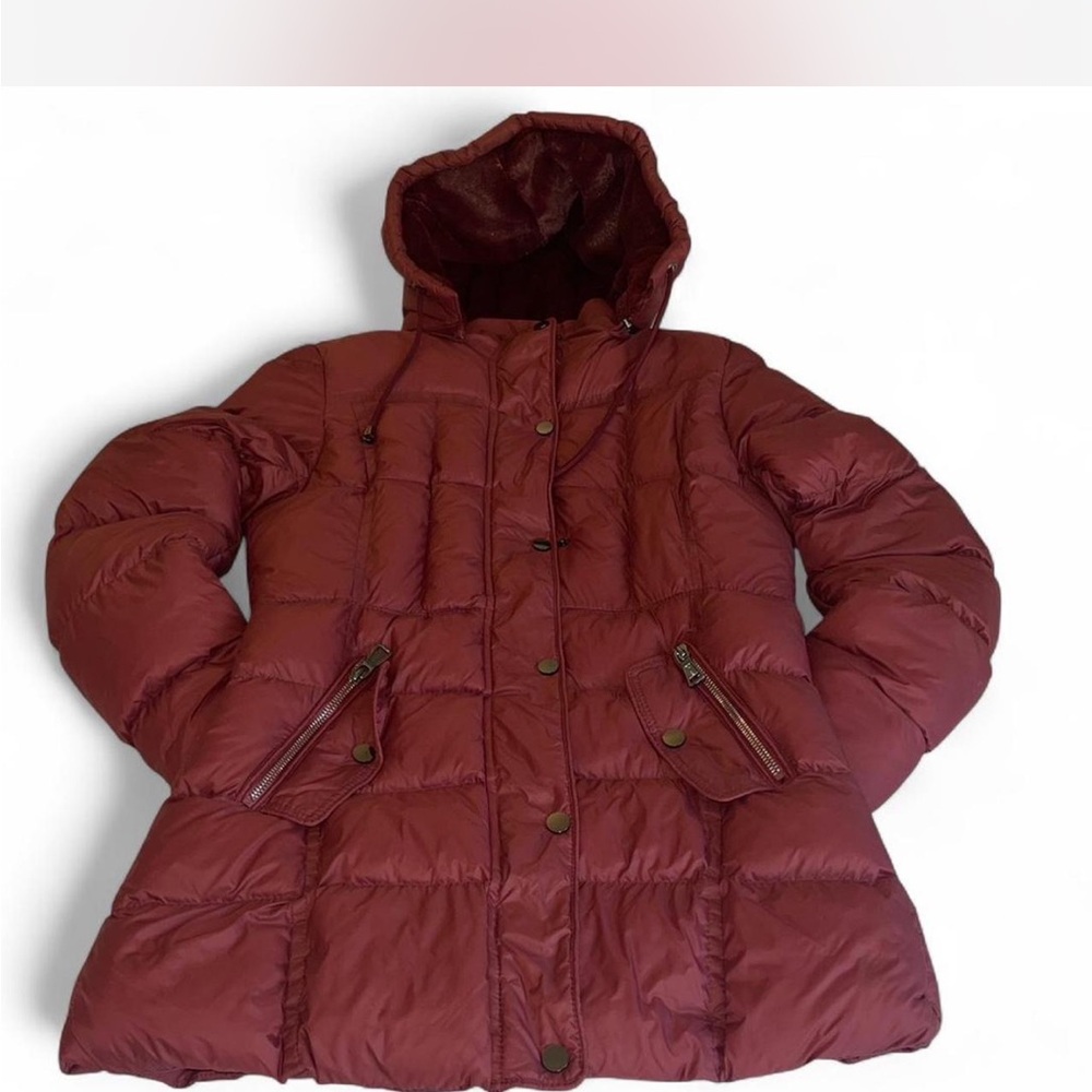 Platini burgundy Puffer Jacket for Women